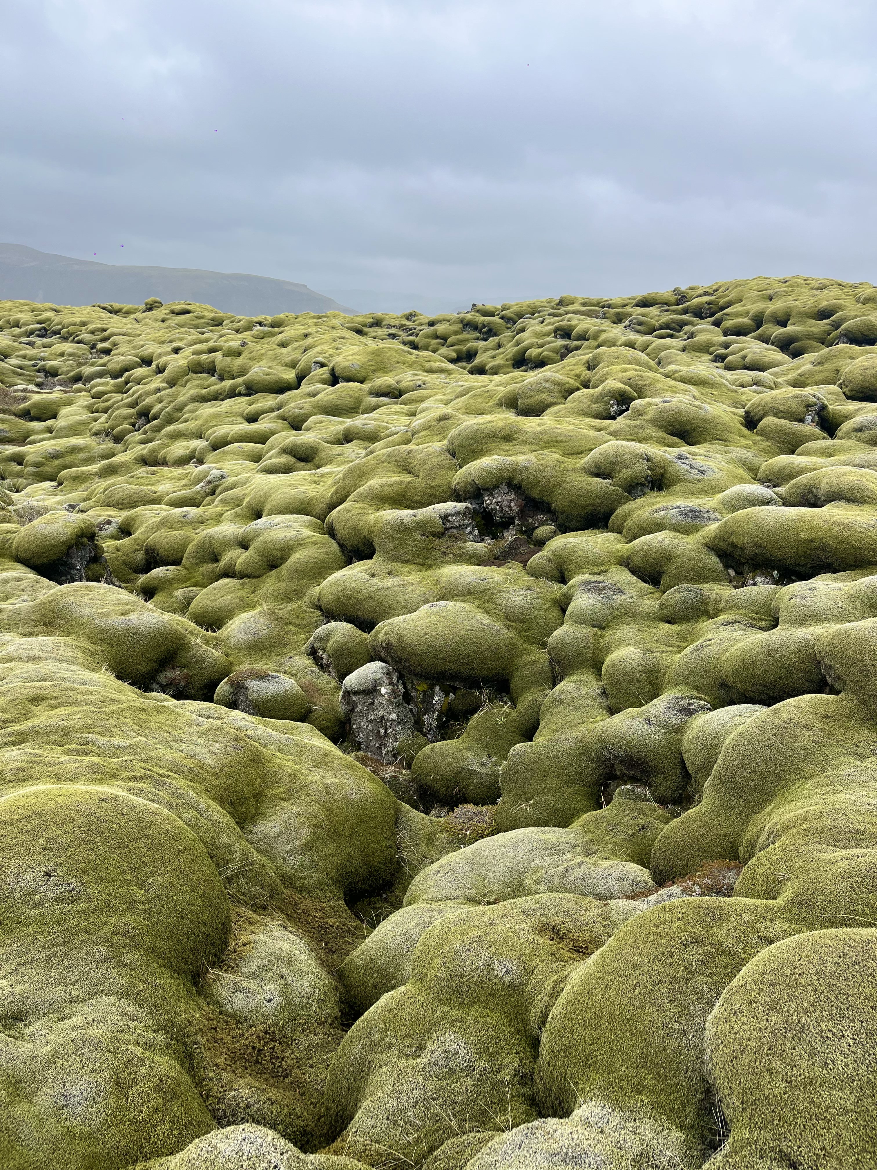 iceland